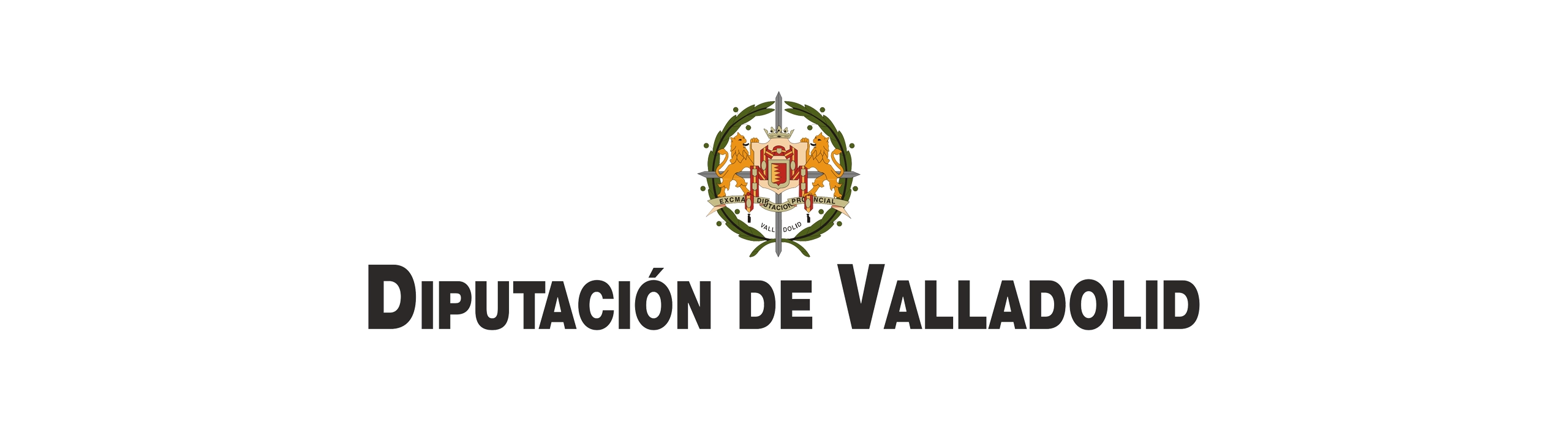 DIPUTACIÓN DE VALLADOLID